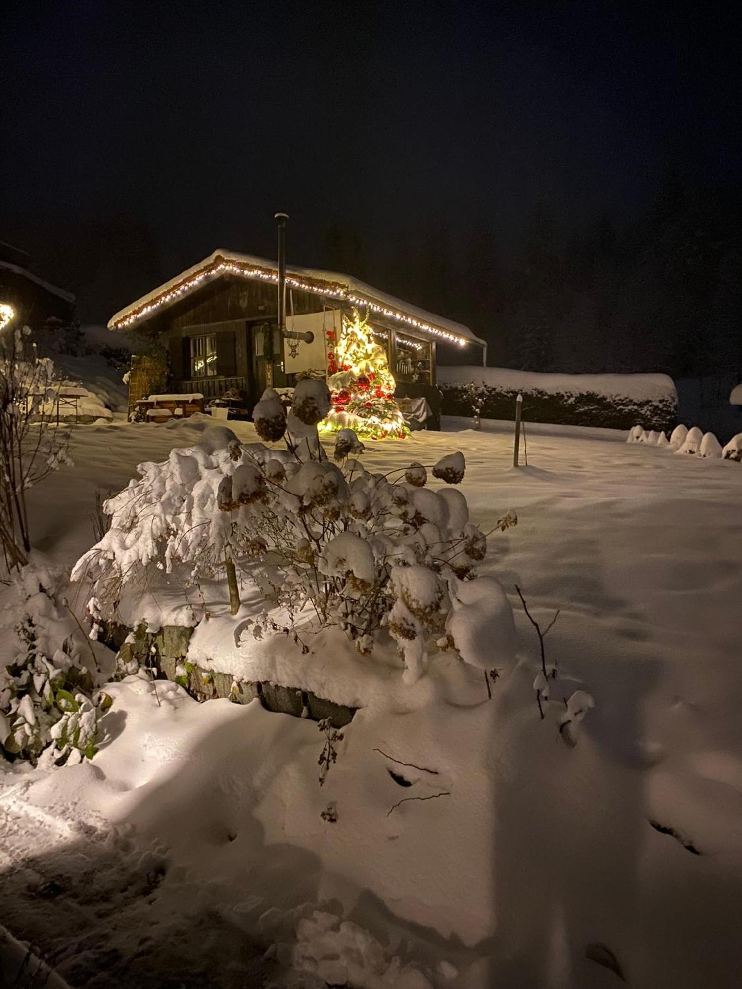 Das Alte Forsthaus Spiegelhuette Lindberg Екстер'єр фото