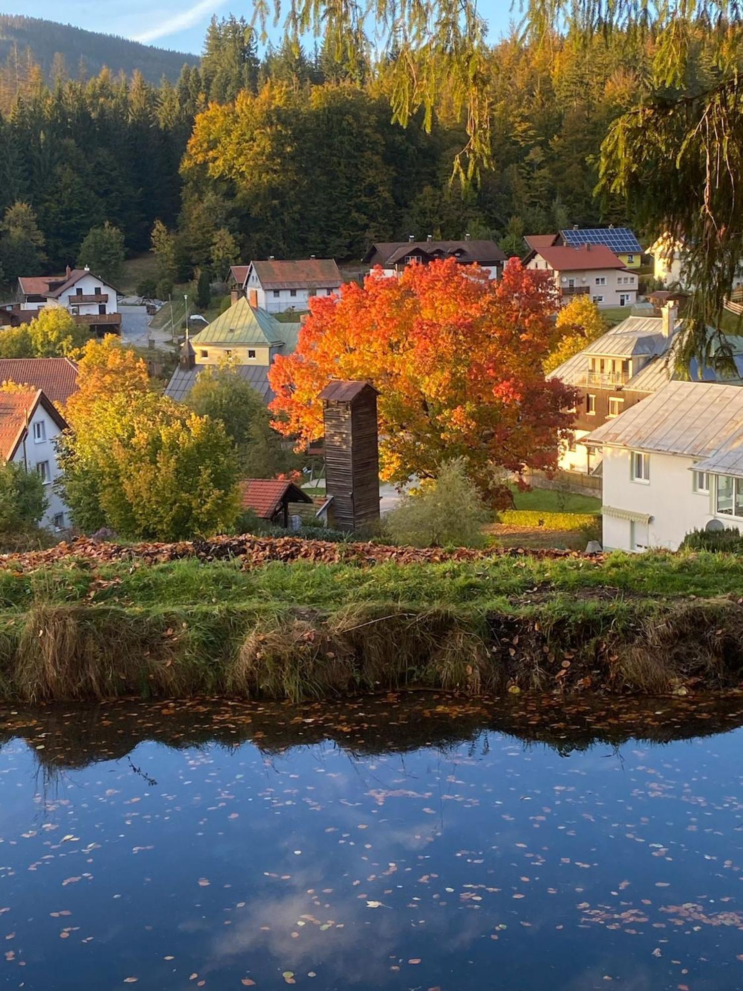 Das Alte Forsthaus Spiegelhuette Lindberg Екстер'єр фото