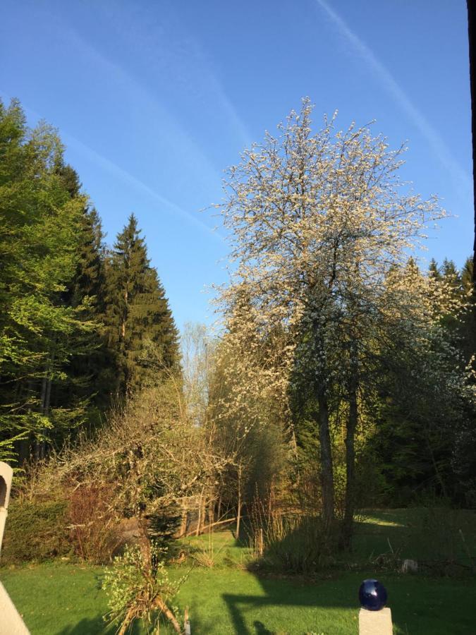 Das Alte Forsthaus Spiegelhuette Lindberg Екстер'єр фото